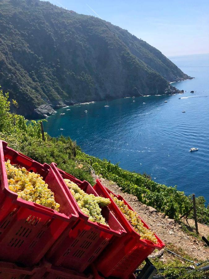Apartamento Casa Natalina Monterosso al Mare Exterior foto